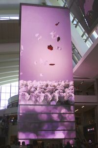  - One of many faces to the clock tower located inside the new Tom Bradley International Terminal taken on LAX Appreciation Day. - by speedbrds