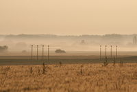  - Misty sunrise - by Daniel Vanderauwera