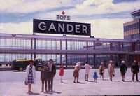  - Tops - by Peter Hamer