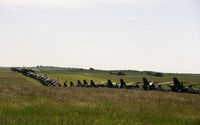  - Netheravon with an invasion of French military helicopters - by Pete Hughes