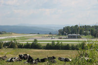  - The cattle don't seem to be bothered by the Edward F. Knapp State Airport - by Ron Coates