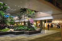  - Terminal 2, Singapore Changi International Airport - by miro susta