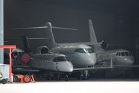  - Residents peeping out of Thurston Aviation's black hole. - by John Coates