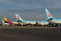  @ Vienna International Airport - Korean and Asiana Cargo - by Dietmar Schreiber - VAP