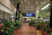  - At Changi - by Micha Lueck