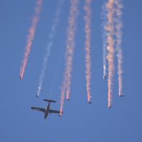 - The Magnificent RAF Falcons Parachute Display Team in freefall at 125 mph. at the superb 25th Anniversary RAFA Shoreham Airshow. - by Eric.Fishwick