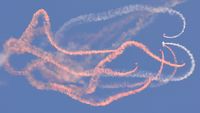  - The Magnificent RAF Falcons Parachute Display Team at the superb 25th Anniversary RAFA Shoreham Airshow. - by Eric.Fishwick