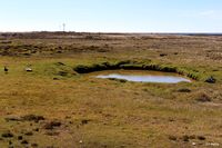  - What appears to be a puddle on the southwest of Port Stanley airport is in fact a bomb crater souvenir from the Black Buck Vulcan Raids of May 1982. - by Clive Pattle