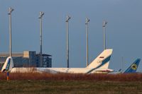  - Peaceful together in lovely morning sun on apron 3... - by Holger Zengler