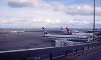  - Nice shot of the apron at Auckland: Arrow's good old DC8, a B767-300 and a B747-200 in Air NZ's old livery, and a Qantas B767-200 - by Micha Lueck