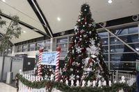  @ Detroit Metropolitan Wayne County Airport - Christmas at DTW - by Florida Metal