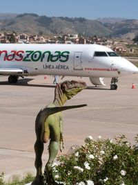  - Sucre airport, gate to the dinosaur track paleontological site - by confauna