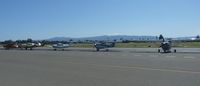  - A busy transient parking at Reid Hillview Airport, CA.  - by Chris Leipelt