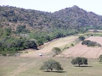  @ SLLS - Lagunillas airstrip (-19.81 -63.66), at the former Hacienda Caraparicito (now Guarani Indigenous Territory), with a Let410 parked in the northern end - by confauna