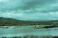  @ Q59 - Fremont airport in Calif. during a 1983 flood.This was the north end and the deepest water.In this picture is a future purchase of mine,the blue and white C150. The wheels had to be replaced but that was only damage. - by S B J