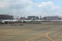  - Despite new LCCs (such as Peach and Vanilla), JAL and ANA still have a very dominating presence at Japan's airports - by Micha Lueck