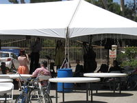  - Santa Paula Airport's 85th Anniversary Celebration 1930-2015, and Aviation Museum of Santa Paula Open House and Fly-in, Band music and singing at the shaded court - by Doug Robertson