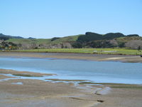 Raglan Aerodrome Airport photo, click to enlarge