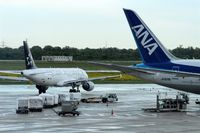  - Still life on a wet apron.... - by Holger Zengler