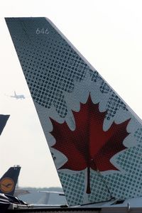  - Maple leaf still life on FRA... - by Holger Zengler