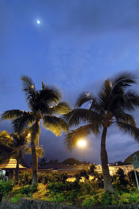  - At Kailua-Kona - by Micha Lueck