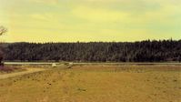  - 932 at Lake Pillsbury in late winter with the lake at near capacity. - by S B J