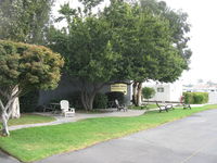  - John F. Richards Airport Park - by Doug Robertson