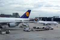  - At terminal 1... - by Holger Zengler
