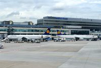  - Two A321 at terminal 2... - by Holger Zengler