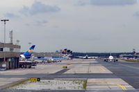  - Western view along aprons... - by Holger Zengler
