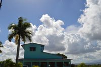 - The main building of the Airport of Les Cayes with the Palm Tree !!! - by Jonas Laurince