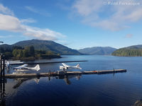  @ Prince Rupert/Seal Cove Water Airport - General view of docks. - by Remi Farvacque