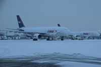  - Fed Ex ramp during a snow fall. Both N652FE & N993FD happen to have had the day off. - by Gerald Howard