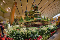  - Singapore International Airport - by miro susta