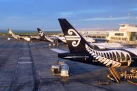  - Air New Zealand's black and white birds basking in the morning sun, while getting ready for the first flights of the day - by Micha Lueck