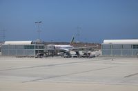  - Remote parking with Ethiopian 787 - by Florida Metal