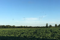  - The ultralight pattern full of powered parachutes, as seen from Camp Scholler. - by Timothy Aanerud
