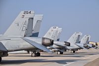  - F/A-18Fs from VFA-106 Gladiators, NAS Oceana, VA visit for a day at BOI. - by Gerald Howard