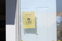  - WANTED-Flight Instructors, by busy CP AVIATION at KSZP, call 805-525-2138  Santa Paula, California - by Doug Robertson