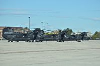  - Three MH-47G Chinooks from the U.S. Army's  160th Special Operations Aviation Regiment (SOAR)
“Night Stalkers” 4th BN, Joint Base Lewis-McChord, WA parked on the Idaho ANG ramp.
 - by Gerald Howard