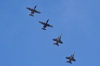  @ Boise Air Terminal/gowen Fld Airport - Flight of A-10Cs from 190th Fighter Sq., Idaho ANG & FA-18Fs from VFA-2, NAS Lemoore, CA. - by Gerald Howard