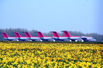  - stored 146 fleet at Norwich - one of my favourite photos with the daffodil foreground - by Pete Hughes