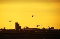  - British Army heli's landing by sunset for a fuelstop on their way home coming from Germany slide scan '90s - by J.Van Mierlo