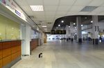  - inside the terminal (with airport cat) at Iraklio/Heraklion International Airport - by Ingo Warnecke
