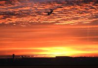  - Brussels 25R by sunset '90s slide scan - by Joannes Van mierlo