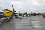  - Flying Legends 2023 - by Chris Hall