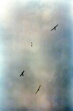  - 1982 WMGM - by Jack N. Derrickson