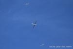  - Gliders over Lasham - by Chris Hall