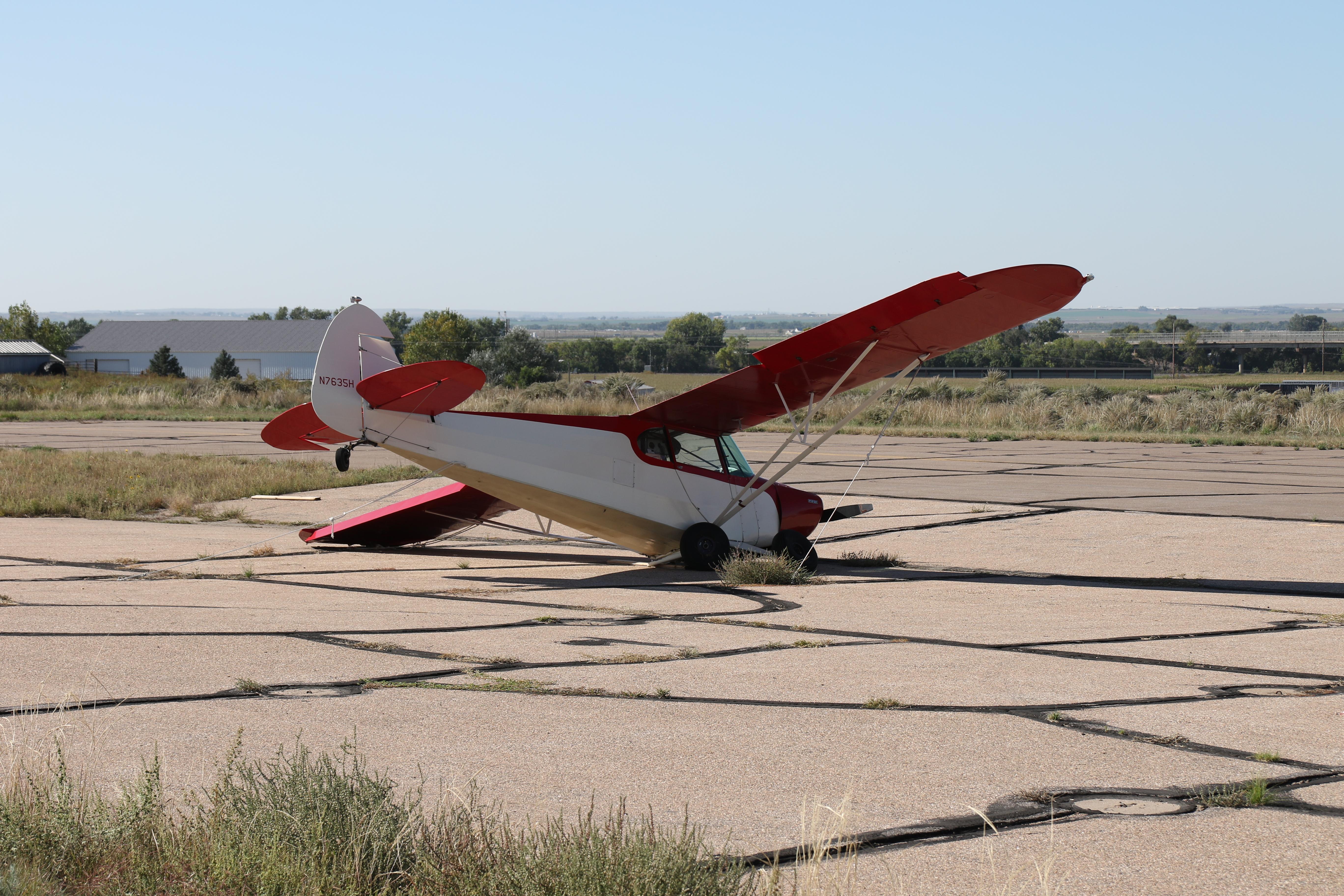  @ Brush Municipal Airport - one of the residents. So sad...  - by olivier Cortot