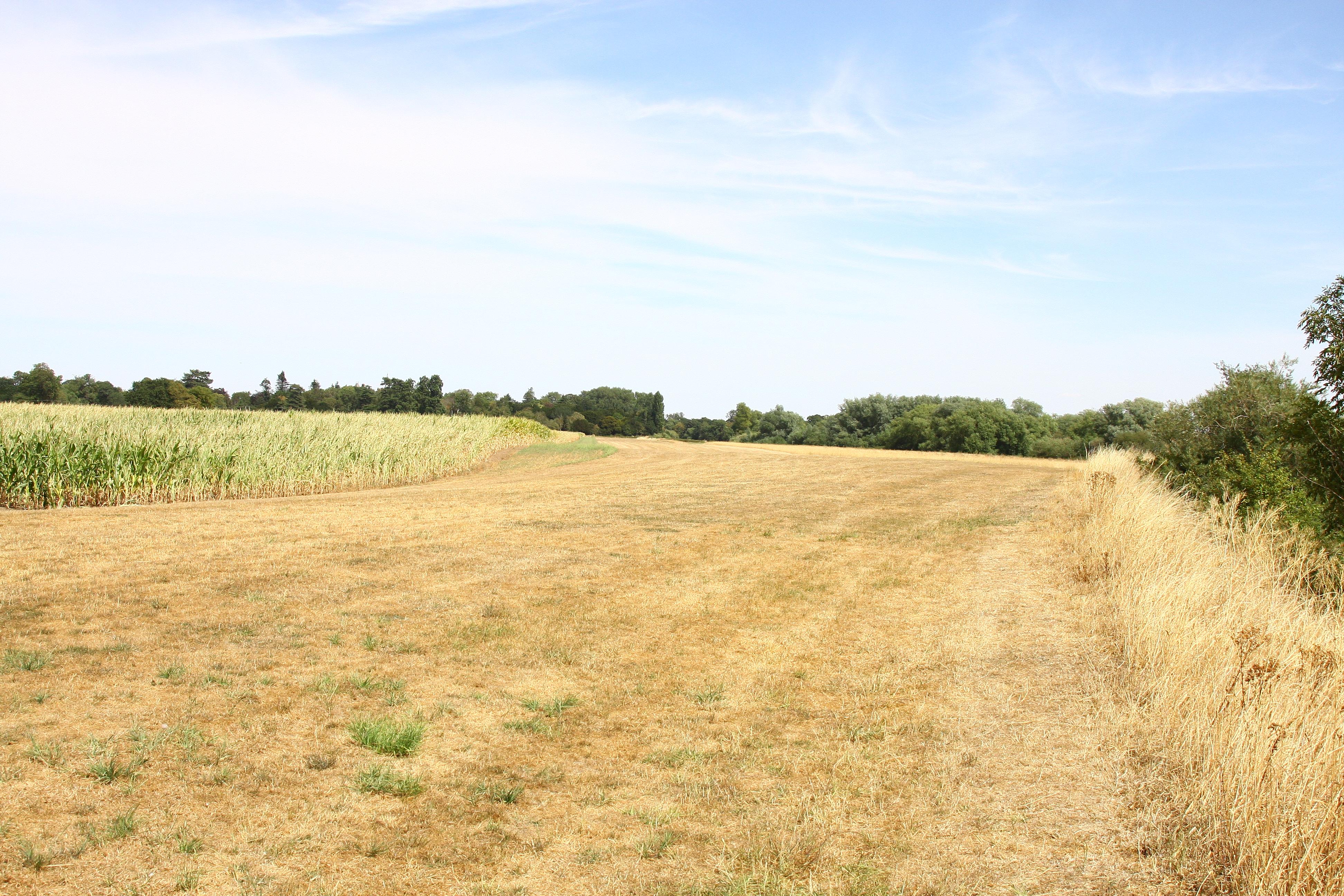 X4RF photo, click to enlarge
